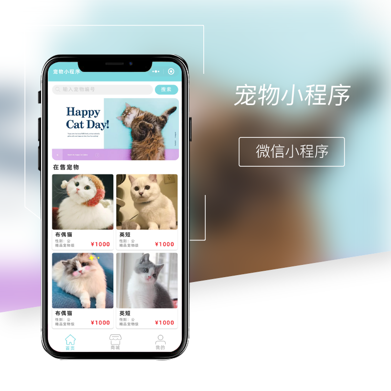 寵物小程序_畫(huà)板 1.png